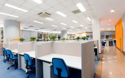 Denver Commercial Office Interior Paint Color Suggestions