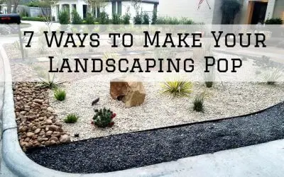 7 Ways to Make Your Landscaping Pop in Denver Metro, CO.