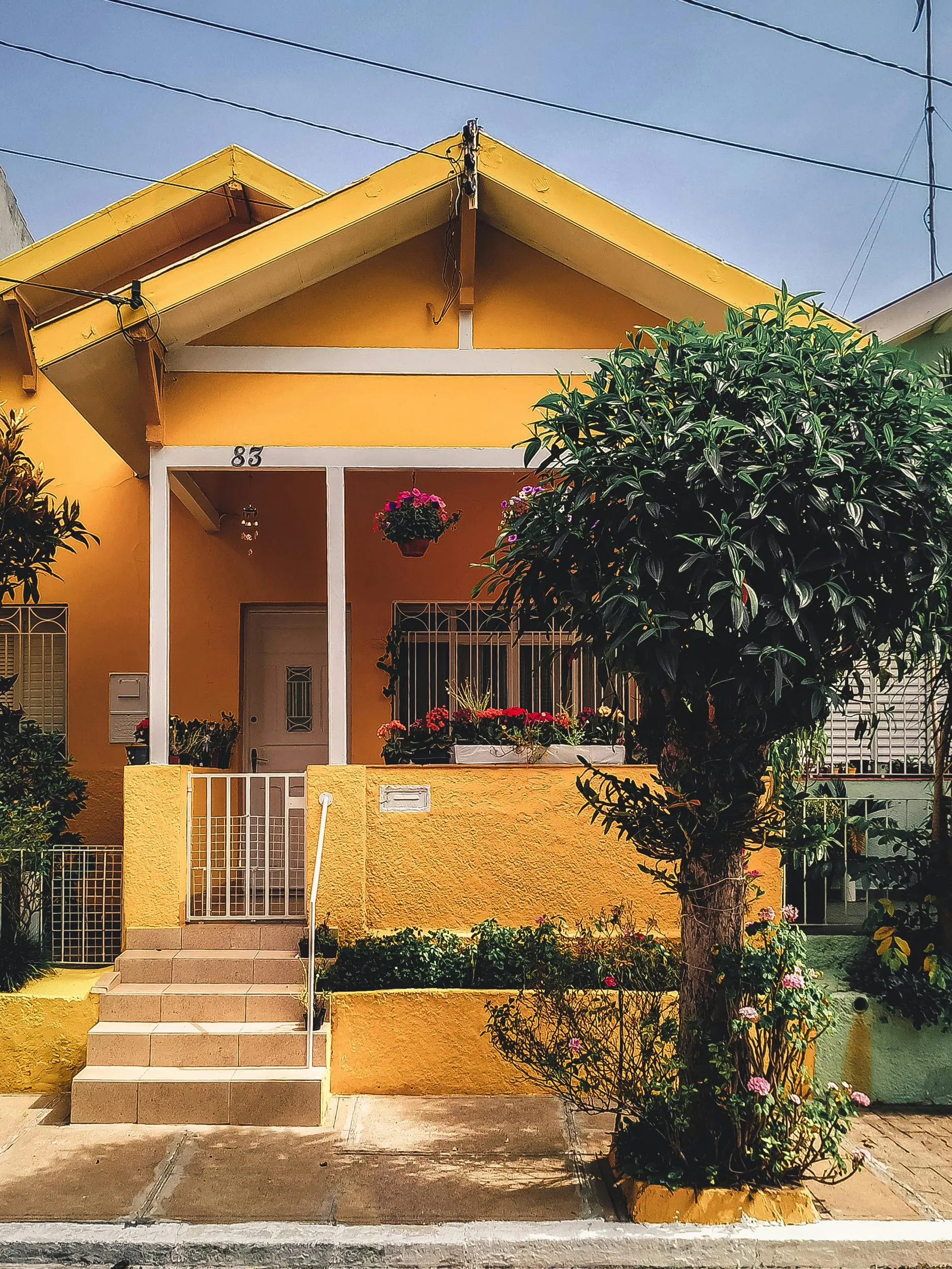 Yellow home exterior with a tall plant outside or the porch and sidewalk leading to the porch.
